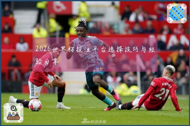 2026世界杯投注平台选择技巧与经验分享