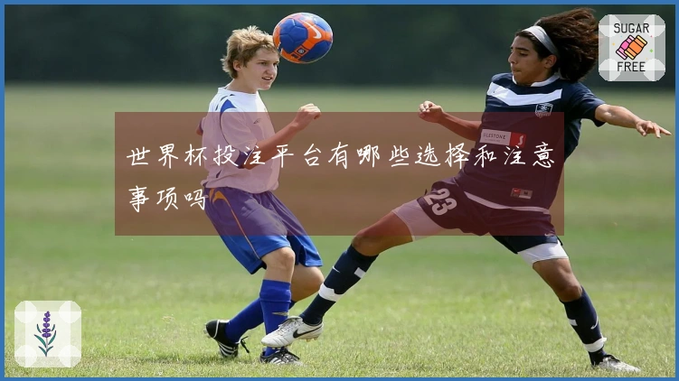 世界杯投注平台有哪些选择和注意事项吗