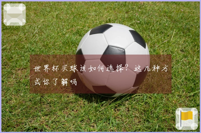 世界杯买球该如何选择？这几种方式你了解吗