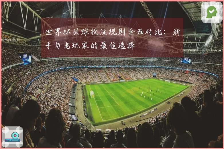 世界杯买球投注规则全面对比：新手与老玩家的最佳选择