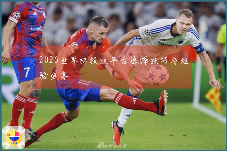 2026世界杯投注平台选择技巧与经验分享