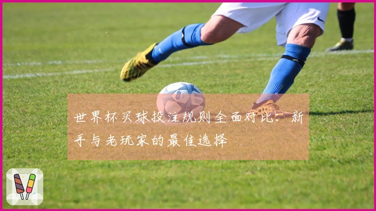 世界杯买球投注规则全面对比：新手与老玩家的最佳选择