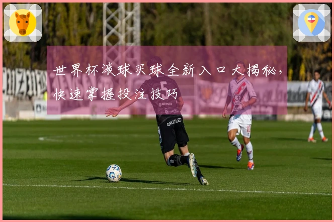 世界杯滚球买球全新入口大揭秘，快速掌握投注技巧