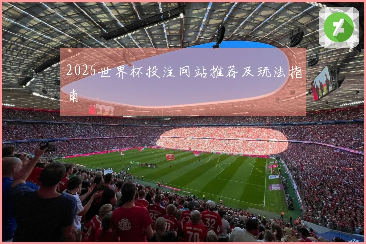 2026世界杯投注网站推荐及玩法指南