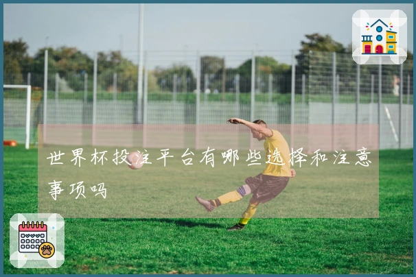世界杯投注平台有哪些选择和注意事项吗